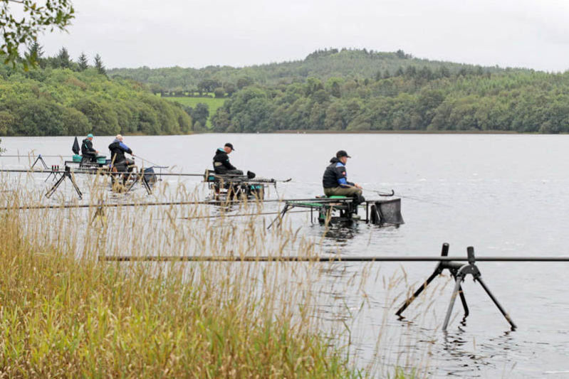 2017 World Pairs, Ireland 2017 World Pairs, Ireland