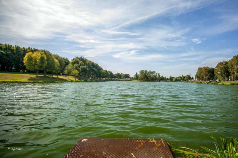 Maver Hayfield Lakes - the best stillwater in the country