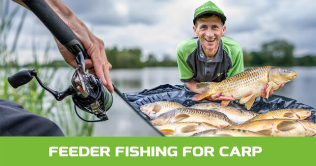 feeder fishing for carp
