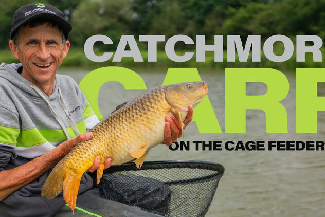 catch more carp on the cage feeder