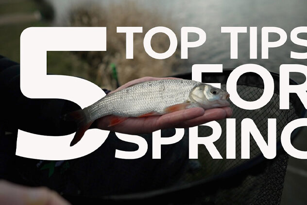 5 top tips for spring